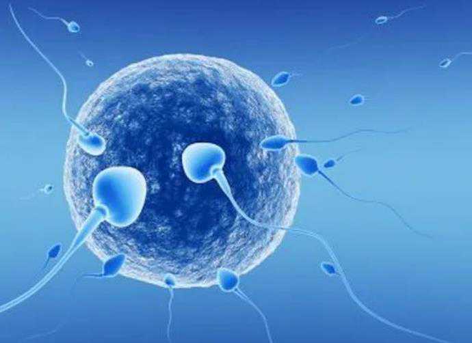 供卵去哪里找胚胎,河南供卵试管婴儿包生男孩成功费用，2023供卵生男孩费用一