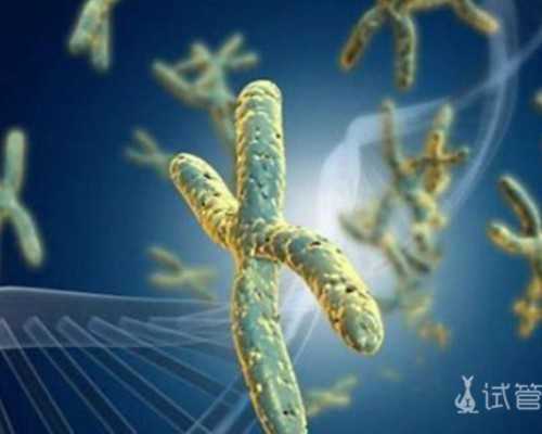 供卵试管中介_集爱捐卵试管,北京三代试管流程_正规试管公司