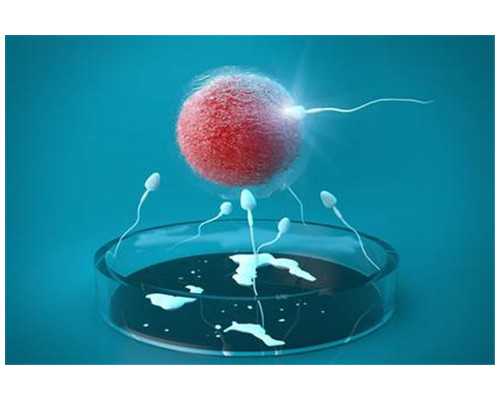 国内供卵试管_借卵试管,天津三代试管孩子_试管助孕机构