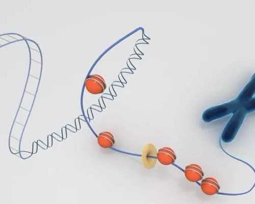 公立做试管和生私下说想生男孩会满足吗？