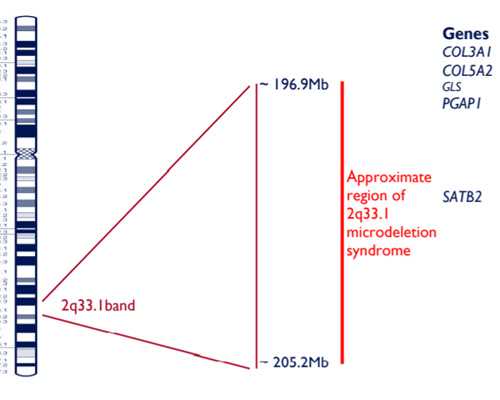 试管婴儿供卵一般几岁最好移植,珠海供卵孩子能上学吗,珠海哪个私立医院做供