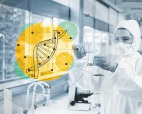 湖南长沙地下供卵,试管前检查挂什么科？_2023年算生男生女计算器查询_试管喝