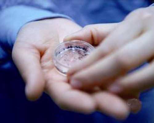 沈阳哪里可以做供卵试管,广东试管_南方医科大学顺德医院能不能做试管婴儿