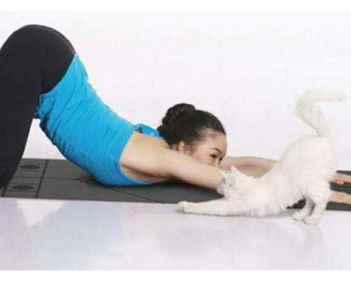 哪里供精试管_哪里供精试管,，试管妊娠北京试管供卵公司排名