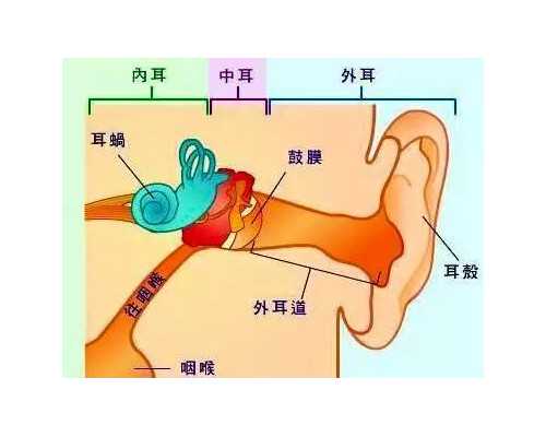 广州做试管婴儿多少钱 甲状腺功能减退会影响广州试管婴儿成功率吗 ‘nt能看