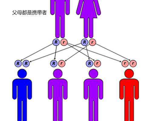 铜陵供卵公司,关于香港7周查男女性别多少钱，香港验血是怎么收费的_怀孕三个
