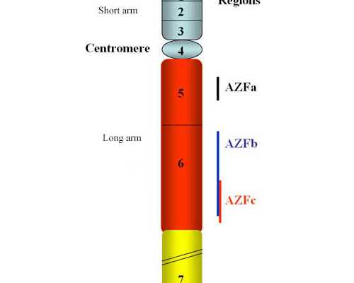三代试管包生_三代试管准备,承德三代试管和二代试管的区别