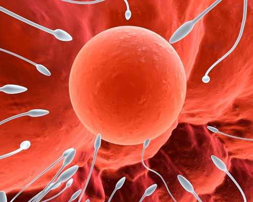 医院供卵成功_哪里有正规的供卵,新乡供卵试管包男孩零风险（北京试管供卵公