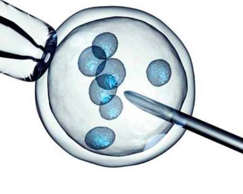 高龄绝经供卵试管_医院做供卵多少钱,北京供卵试管多少钱，供卵试管套餐哪里