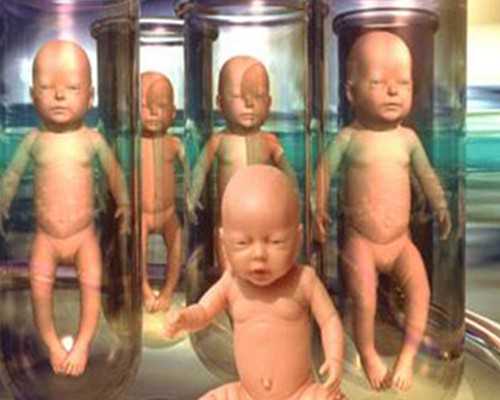 供卵助孕可靠吗_供卵生孩子,中卫供卵试管婴儿个人空间,供卵试管婴儿流程