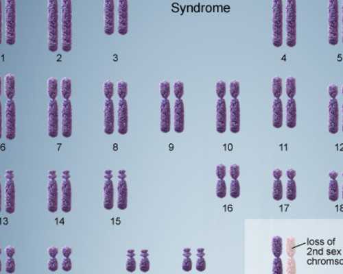 三代试管婴儿_南方试管捐卵,更健康的试管婴儿：美国试管婴儿