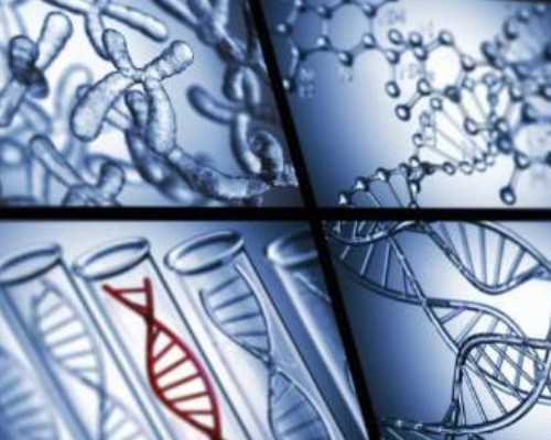 烟台供卵成功率,试管婴儿成功后是双胞胎减胎的风险大吗_上海哪有可以做供卵