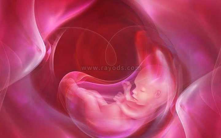 百色哪些食物暖宫助孕_武汉助孕试管婴儿胚胎移植后大约几天可以验孕检查呢