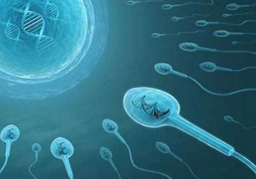 找个女人代孕_有人找代孕的吗_泰国试管胚胎着床成功率和反复失败原因介绍