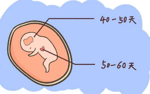 珠海捐卵公司 珠海妇幼保健院可以做第三代试管婴儿吗? ‘胎囊三个数据比例是